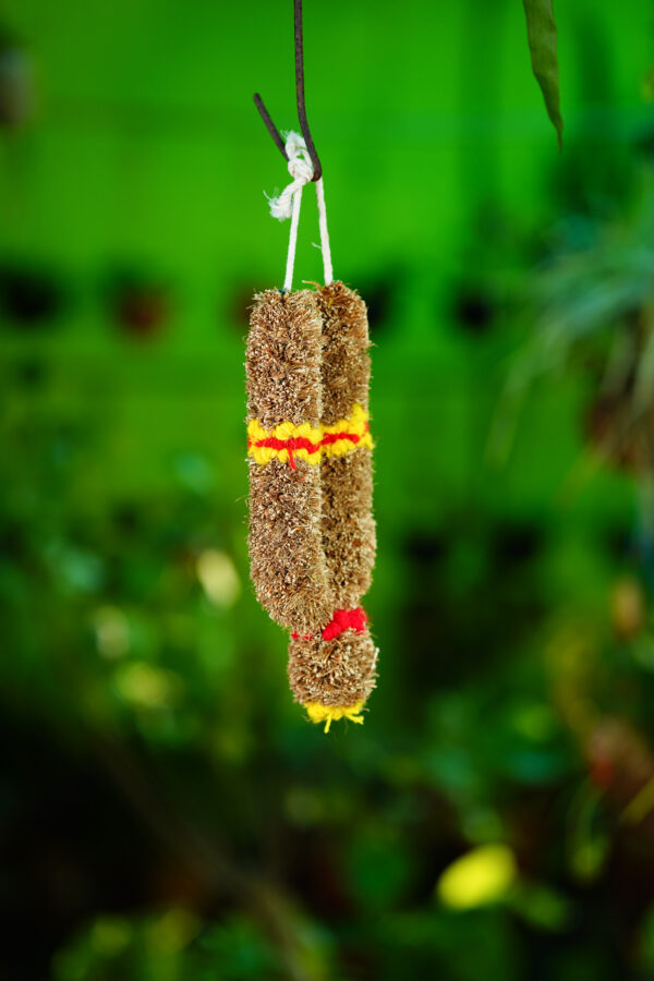 3 Feet Vetiver Garland - Image 4