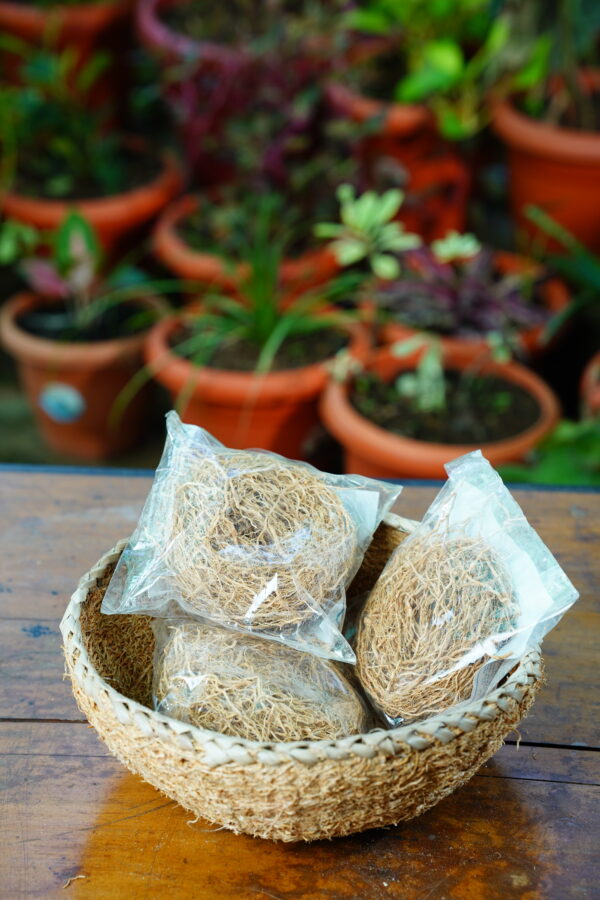 Vetiver Root Packet - Image 2