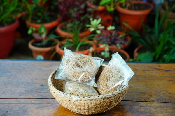 Vetiver Root Packet - Image 3
