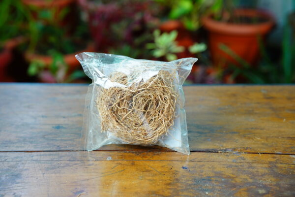 Vetiver Root Packet - Image 4
