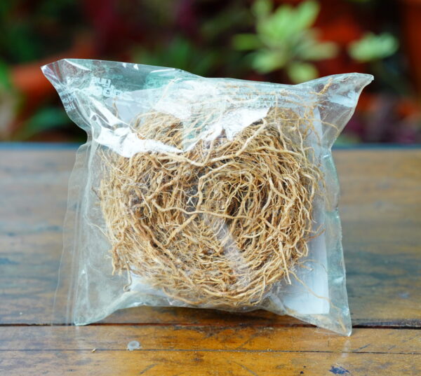 Vetiver Root Packet