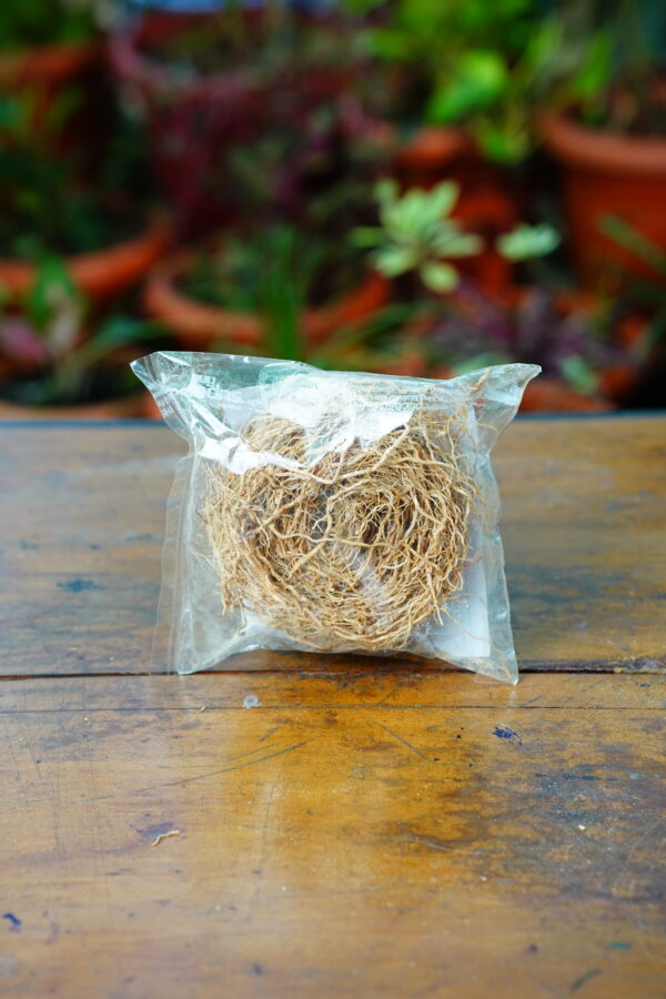 Vetiver Root Packet - Image 6