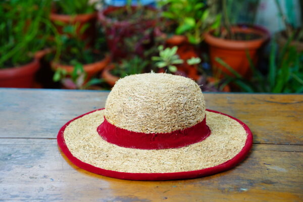 Vetiver Hat - Image 2