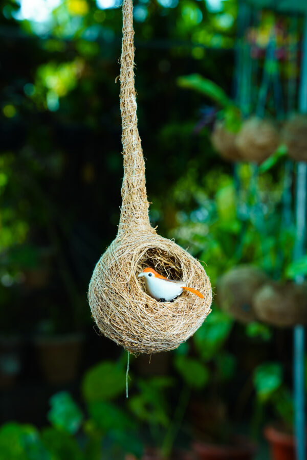 Bird Nest - Image 3