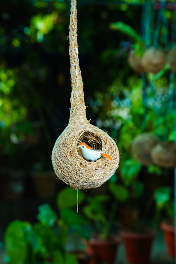 Bird Nest - Image 4