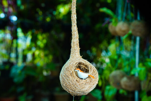 Bird Nest - Image 5