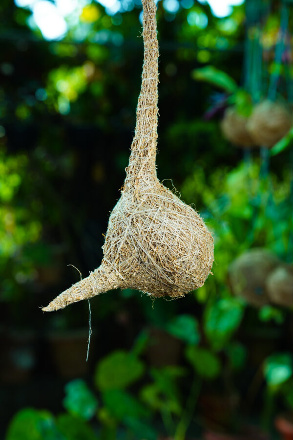 Bird Nest - Image 6