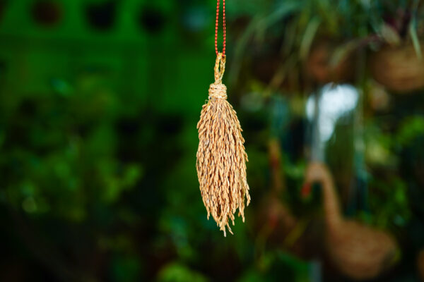 125 Gram Paddy Bunch - Image 5