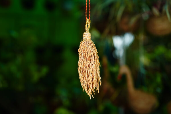 125 Gram Paddy Bunch - Image 4