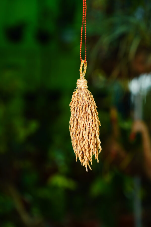 125 Gram Paddy Bunch - Image 2