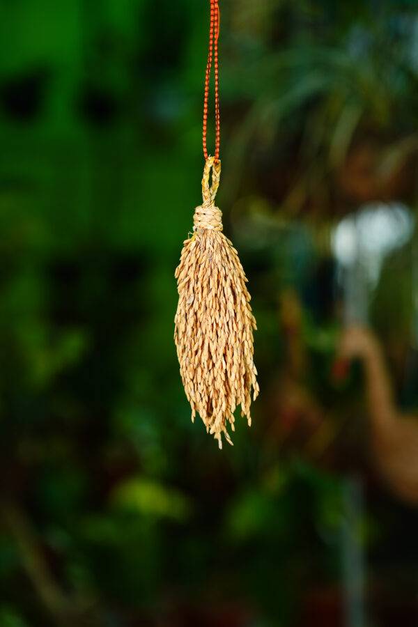 125 Gram Paddy Bunch - Image 3