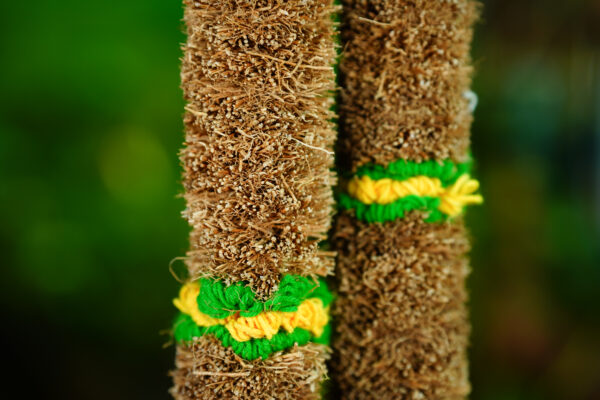 Vetiver Garland (1 Feet) - Image 6