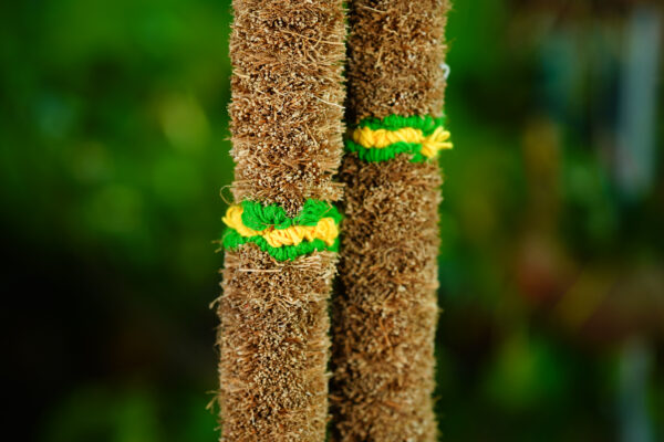Vetiver Garland (1 Feet) - Image 7