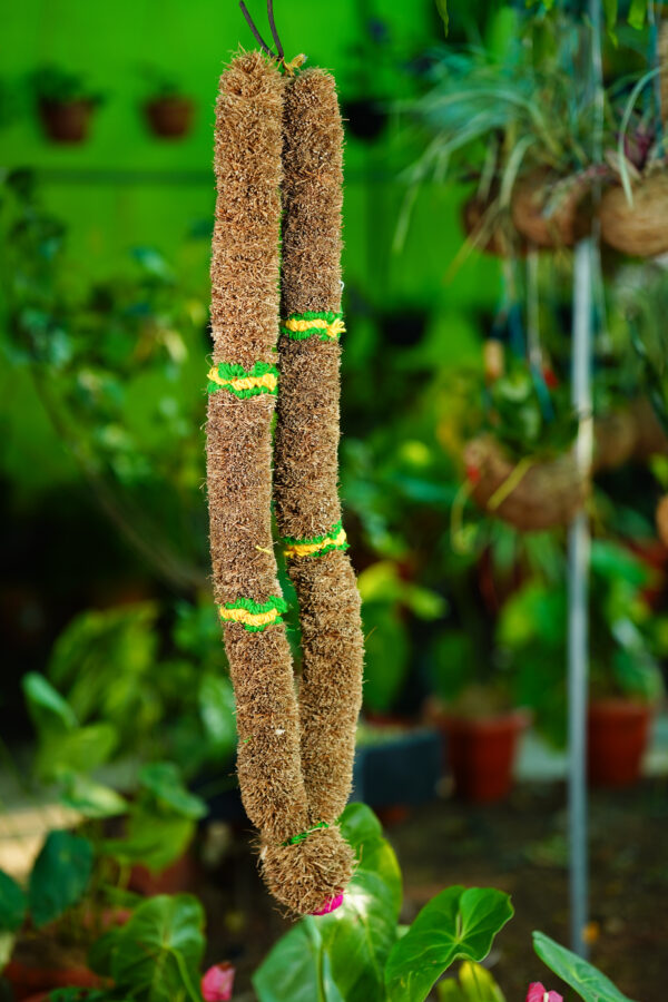 Vetiver Garland (2 Feet) - Image 6