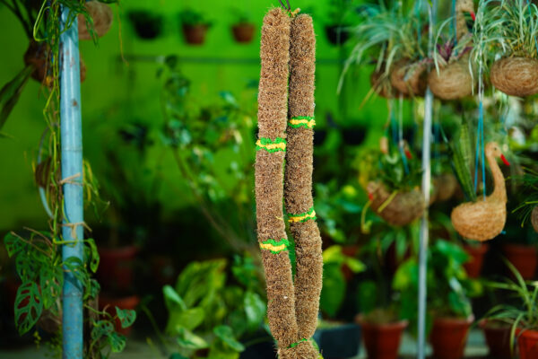 Vetiver Garland (2 Feet) - Image 7