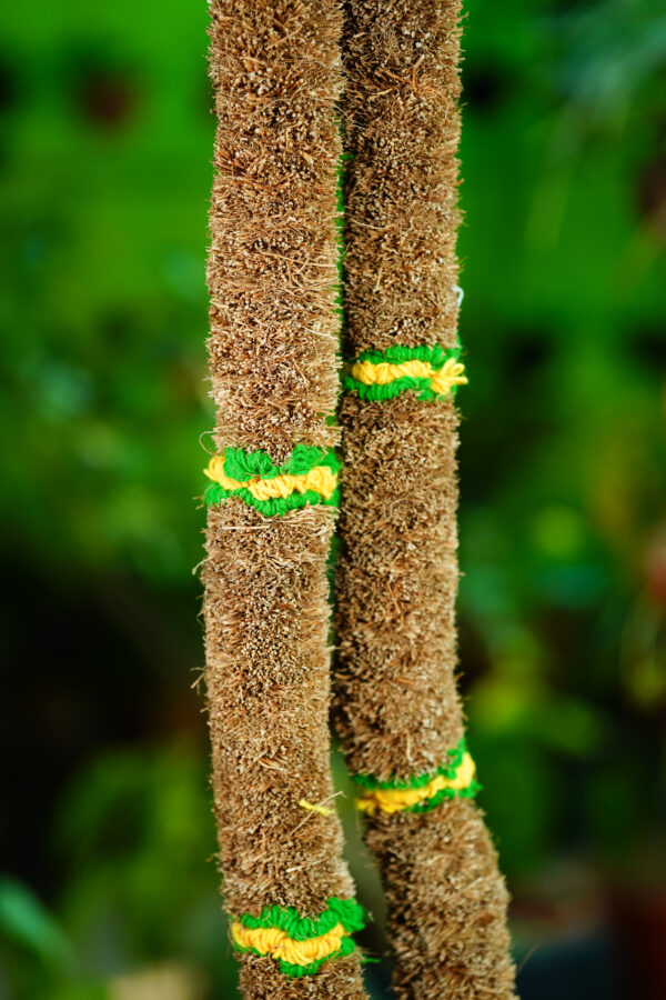 Vetiver Garland (2 Feet) - Image 8