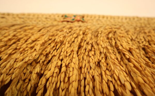 Paddy Door Toran with Green Swastik - Image 2